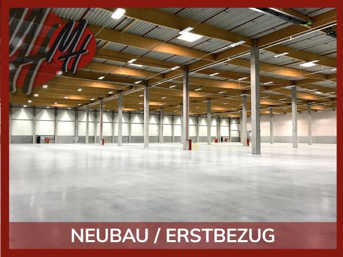 Halle/Industriefläche zur Miete 11.300 m²<br/>Lagerfläche ab 8.500 m²<br/>Teilbarkeit Ameln Titz 52445