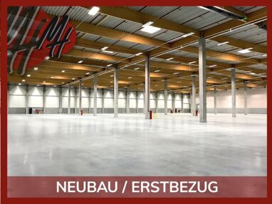 Halle/Industriefläche zur Miete 11.300 m² Lagerfläche teilbar ab 8.500 m² Ameln Titz 52445
