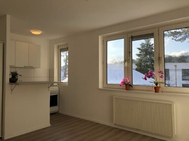 Wohnung zur Miete 450 € 1 Zimmer 25 m² 1. Geschoss Heimfelder Str.  127-131 Heimfeld Hamburg 21075