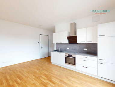Wohnung zur Miete 780 € 1 Zimmer 34,7 m² Erdgeschoss Fischerhof 19 Neustadt Mainz 55120
