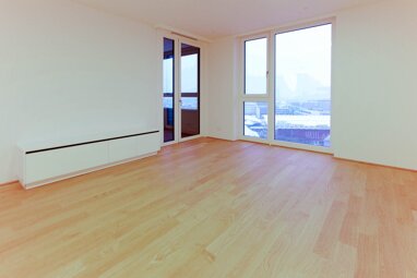 Wohnung zur Miete 1.580 € 2 Zimmer 51 m² Doktor-Adolf-Schärf-Platz Wien 1220