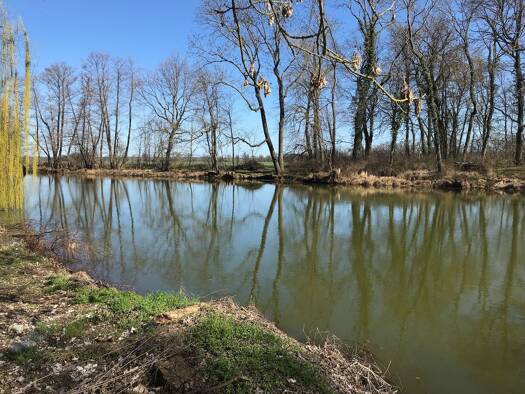 Mehrfamilienhaus zum Kauf provisionsfrei 180.000 € 8 Zimmer 400 m² 1.200 m² Grundstück Tiefensee Bad Düben 04849