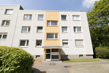 Wohnung zum Kauf 89.000 € 3 Zimmer 63 m² 1. Geschoss Moosfelde Arnsberg 59755