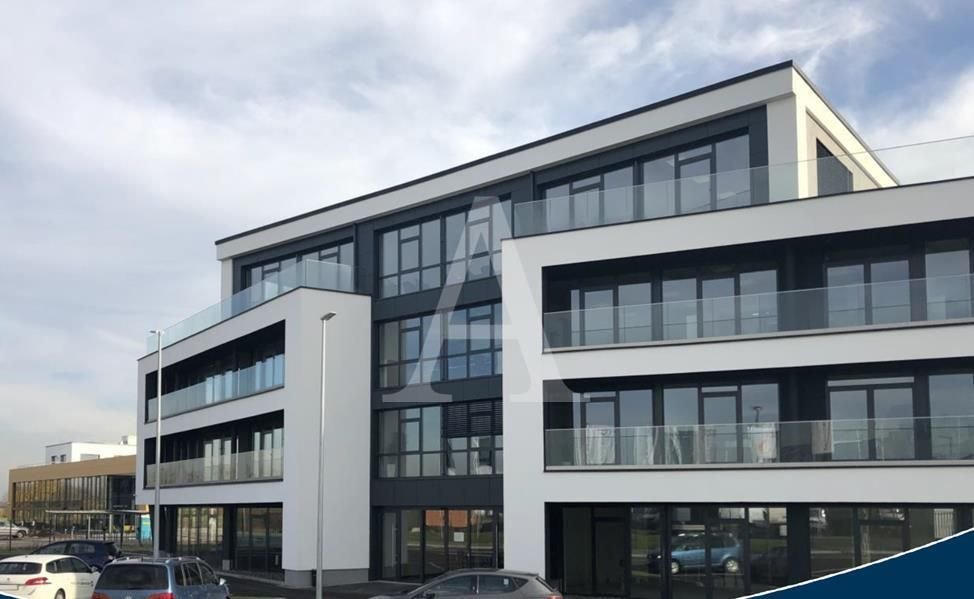 Büro-/Praxisfläche zur Miete 1.306 m²<br/>Bürofläche Roisdorf Bornheim 53332