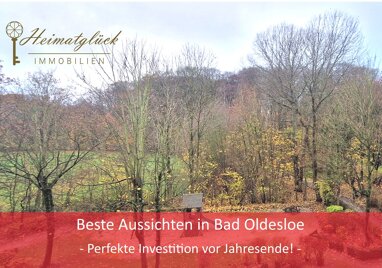 Wohnung zum Kauf 69.000 € 1 Zimmer 35 m² Bad Oldesloe 23843