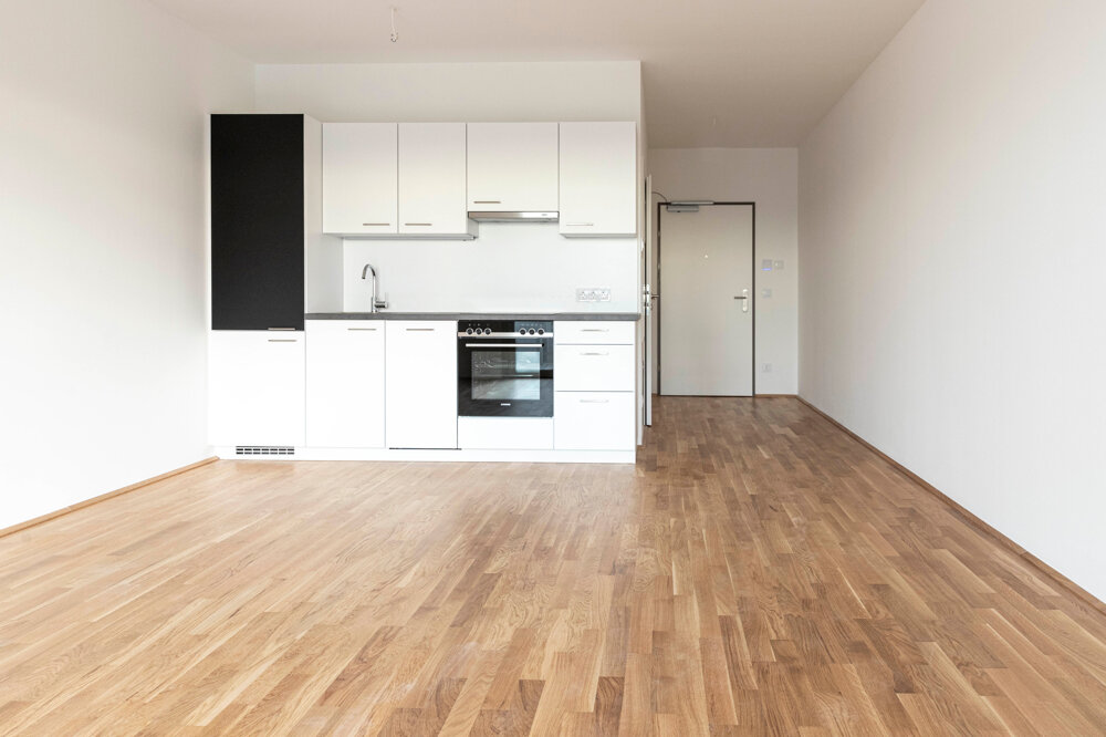 Wohnung zur Miete 545,19 € 1 Zimmer 37,4 m²<br/>Wohnfläche Erdgeschoss<br/>Geschoss Ferdinand-Platzer-Gasse 6 Wien 1210