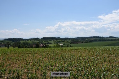 Land-/Forstwirtschaft zum Kauf 3.300 € 3.785 m² Grundstück Eberbach Eberbach 69412