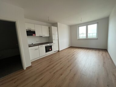 Wohnung zur Miete 500 € 1 Zimmer 28 m² 5. Geschoss Heiterblick Leipzig 04315