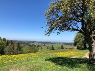 Bauernhaus zum Kauf provisionsfrei 1.250.000 € 8 Zimmer 220 m² 2.000 m² Grundstück Wiggensbach Wiggensbach 87487