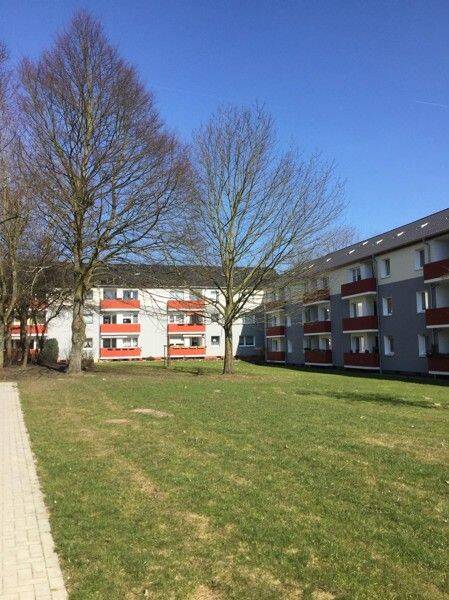 Wohnung zur Miete