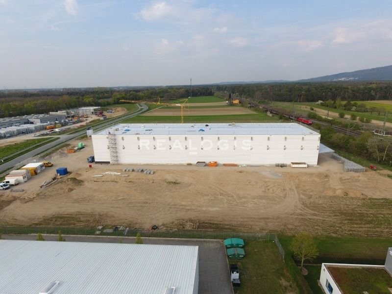 Halle/Industriefläche zur Miete Provisionsfrei 2.900 m² Lagerfläche Mitte Bensheim 64625