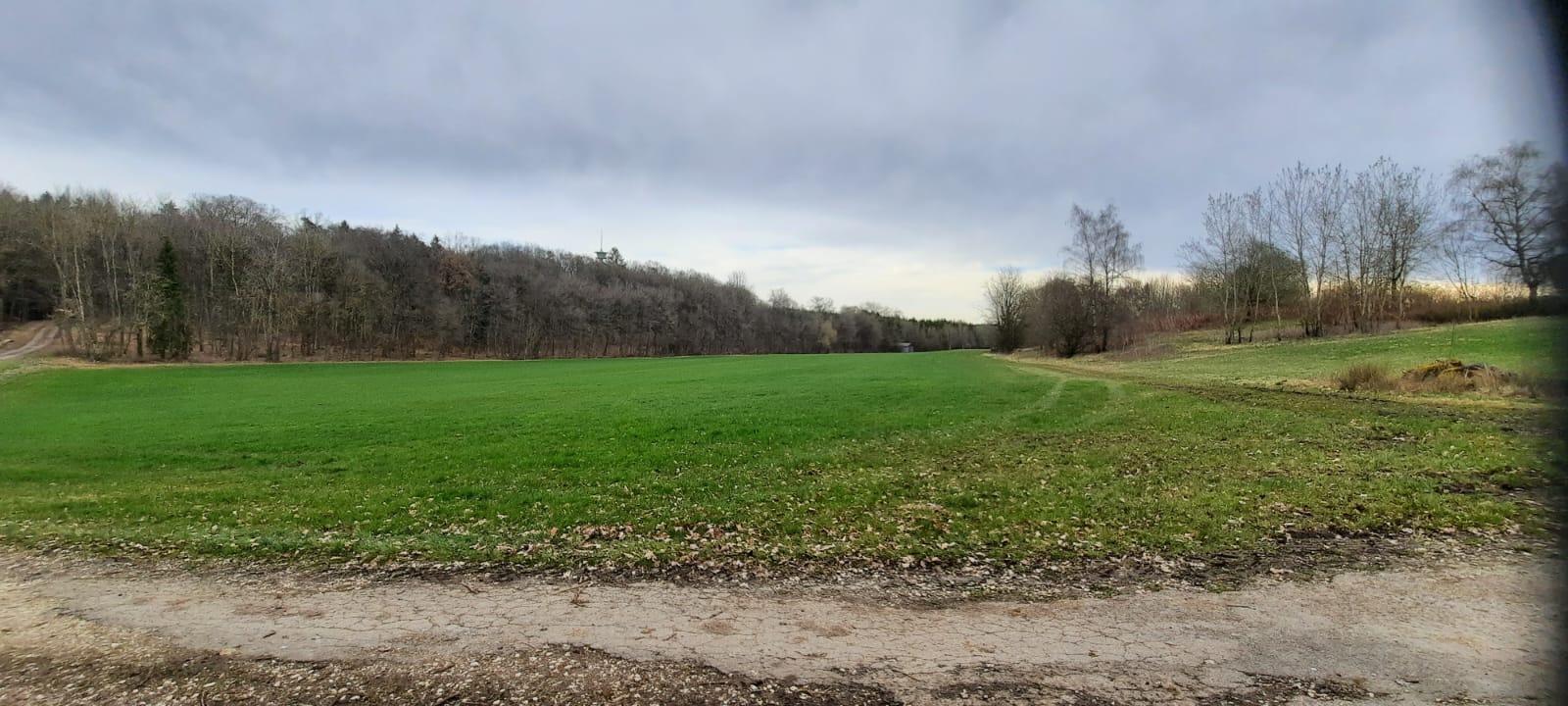 Landwirtschaftliche Fläche zum Kauf 190.000 € 35.000 m²<br/>Grundstück Sternbach Amerdingen 86735