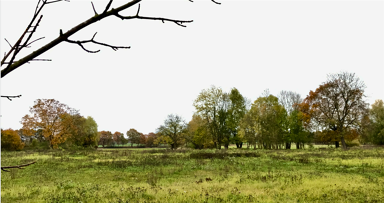 Grundstück zum Kauf 11.043 m² Grundstück Bühne Kalbe (Milde) 39624