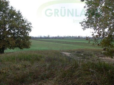 Grundstück zum Kauf 92.000 € 61.352 m² Grundstück Kunow Schwedt/Oder 16303
