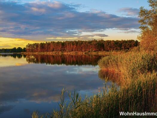Gewerbeobjekt zum Kauf provisionsfrei als Kapitalanlage geeignet 340.000 € 7 Zimmer 194 m² 449 m² Grundstück Zerpenschleuse Wandlitz 16348