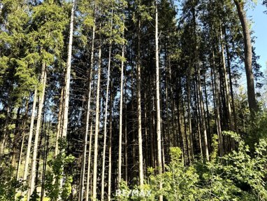 Forstwirtschaft zum Kauf 129.000 € 29.925 m² Grundstück Legerbuch St. Paul im Lavanttal 9470