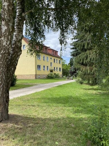 Mehrfamilienhaus zum Kauf Provisionsfrei 980.000 € 340 m² 1.919 m² Grundstück Lischow 17 Lischow Neuburg 23974