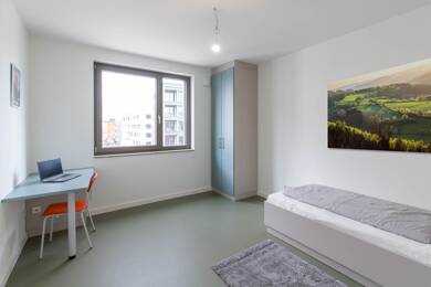 Wohnung zur Miete - Neubau 350 € 1 Zimmer 13 m² 3. Geschoss frei ab sofort Ellen-Ammann-Straße 8 Bamberg Bamberg 96052
