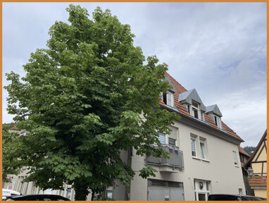 Wohnung zum Kauf 140.000 € 2 Zimmer 62 m² 3. Geschoss Zell Zell am Harmersbach 77736