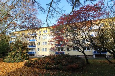 Wohnung zur Miete 173 € 1 Zimmer 31,3 m² 2. Geschoss Kastanienweg 25 Bernburg Bernburg (Saale) 06406