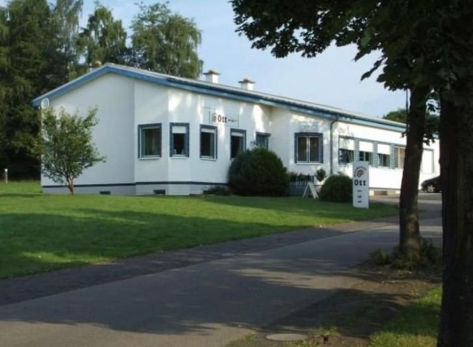 Wohn- und Geschäftshaus zum Kauf 298.000 € 279,9 m²<br/>Fläche 1.100 m²<br/>Grundstück Reinsfeld 54421