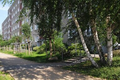 Wohnung zur Miete 130 € 1 Zimmer 25,5 m² 2. Geschoss Dr.-Semmelweis-Str. 4 Großenhain Großenhain 01558