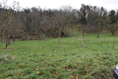 Grundstück zum Kauf 1.464 m² Grundstück Gottmadingen Gottmadingen 78244