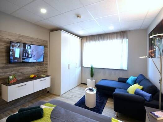 Studio zur Miete 645 € 1 Zimmer 26 m² Georg-Mayr-Straße 8 Marktheidenfeld 97828