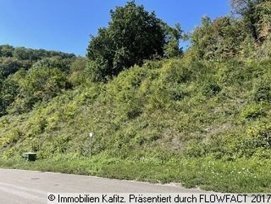 Grundstück zum Kauf 58.000 € 6.341 m² Grundstück Kreimbach-Kaulbach Kreimbach-Kaulbach 67757