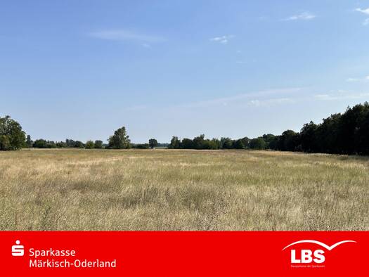 Grundstück zum Kauf provisionsfrei 87.000 € 717 m² Grundstück Wriezen 16269