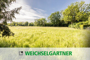 Grundstück zum Kauf 4.900.000 € 4.477 m² Grundstück Daglfing München 81929