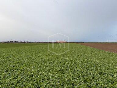 Landwirtschaftliche Fläche zum Kauf 120.000 € 9.932 m² Grundstück Weilerswist Weilerswist 53919