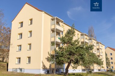 Wohnung zur Miete 680 € 4 Zimmer 87,2 m² 2. Geschoss Erich-Mühsam-Straße 10 Bieblach 3 Gera 07546