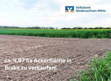 Land-/Forstwirtschaft zum Kauf 48.696 m² Grundstück Mellinghausen Mellinghausen / Brake 27249