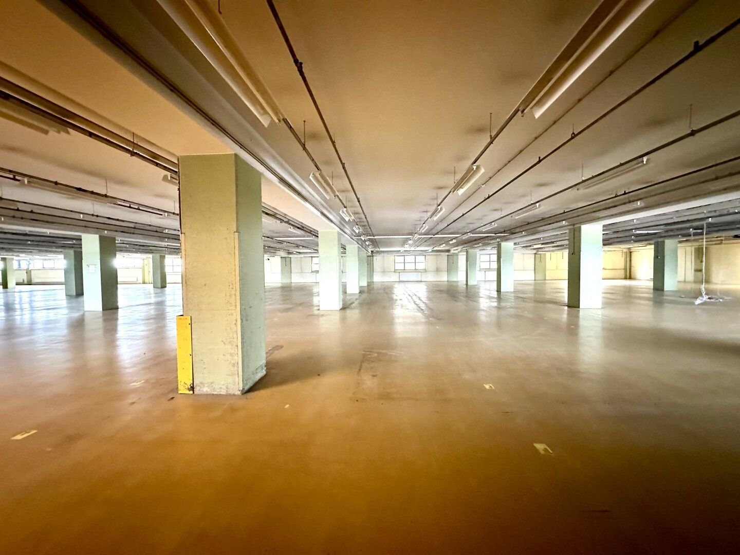 Halle/Industriefläche zur Miete 12.799,50 € 3.657 m²<br/>Lagerfläche Triester Straße Puntigam Graz 8055