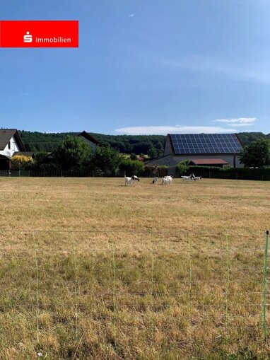 Grundstück zum Kauf 16.075 € 643 m² Grundstück Weißenborn Ottrau 34633