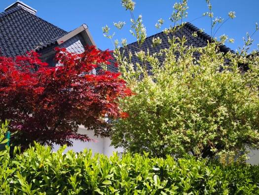 Terrassenwohnung zur Miete 1.500 € 3 Zimmer 96 m² Geschoss EG/1 frei ab 30.01.2026 Rahlstedt Hamburg 22147