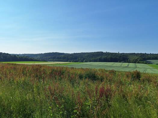 Grundstück zum Kauf provisionsfrei 495.000 € 601 m² Grundstück Ottmarshausen Neusäß 86356