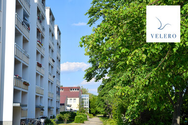 Wohnung zur Miete 349 € 3 Zimmer 57,2 m² 5. Geschoss Ernst-Mucke-Straße 3 Schmellwitz Cottbus 03044