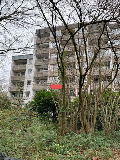 Wohnung zum Kauf 135.000 € 2 Zimmer 56 m² Berg Fidel Münster 48153