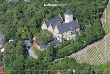 Schloss zum Kauf 3.600.000 € 21 Zimmer 1.000,2 m² 16.500,2 m² Grundstück Löffelsterz Schonungen 97453