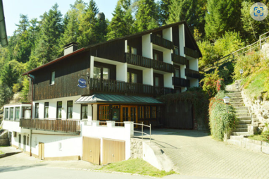 Apartmenthaus zum Kauf Provisionsfrei 290.000 € 18 Zimmer 638 m² 60.000 m² Grundstück Untertal 1 Gremmelsbach Triberg im Schwarzwald 78098
