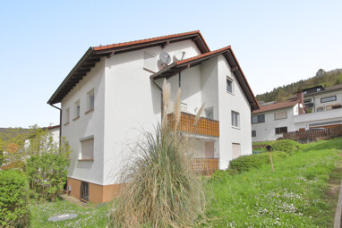 Wohnung zum Kauf 259.000 € 4 Zimmer 105 m² Erdgeschoss Neckarsteinach Neckarsteinach 69239