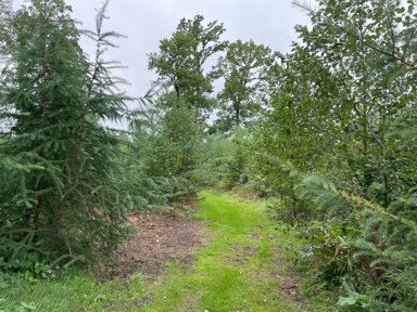 Landwirtschaftliche Fläche zum Kauf 102.000 € 21.761 m² Grundstück Aukrug 24613