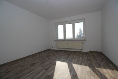 Wohnung zur Miete 318 € 3 Zimmer 57,8 m² 1. Geschoss frei ab sofort Bahnhofstraße 9 Reuth Reuth 08538