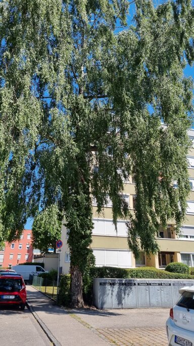 Wohnung zum Kauf 395.000 € 4 Zimmer 88 m² EG Prälat-Pfanzelt-Straße Dachau Dachau 85221