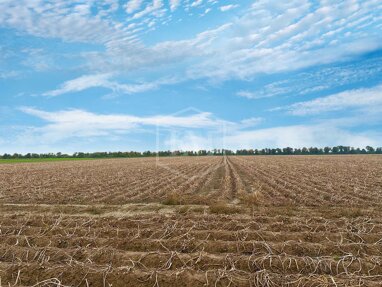 Landwirtschaftliche Fläche zum Kauf 740.000 € 49.169 m² Grundstück Stadtkern Jülich 52428