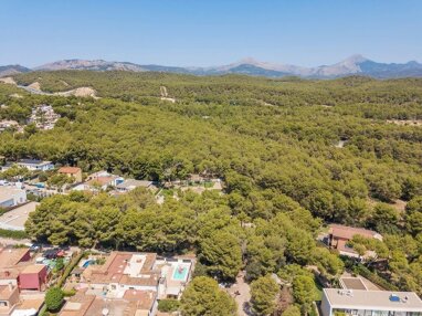 Grundstück zum Kauf 690.000 € 1.167 m² Grundstück Calvi? 07180