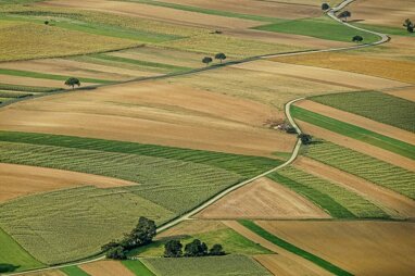 Land-/Forstwirtschaft zum Kauf Ottenhausen Steinheim / Ottenhausen 32839