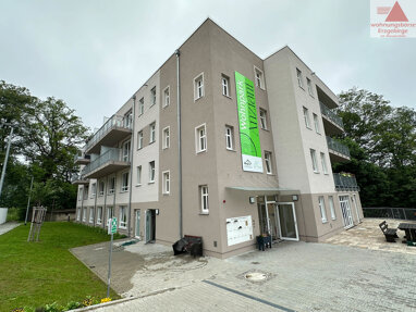 Wohnung zur Miete 550 € 1 Zimmer 19,9 m² Nordstraße 12 Auerbach Auerbach/Vogtland 08209